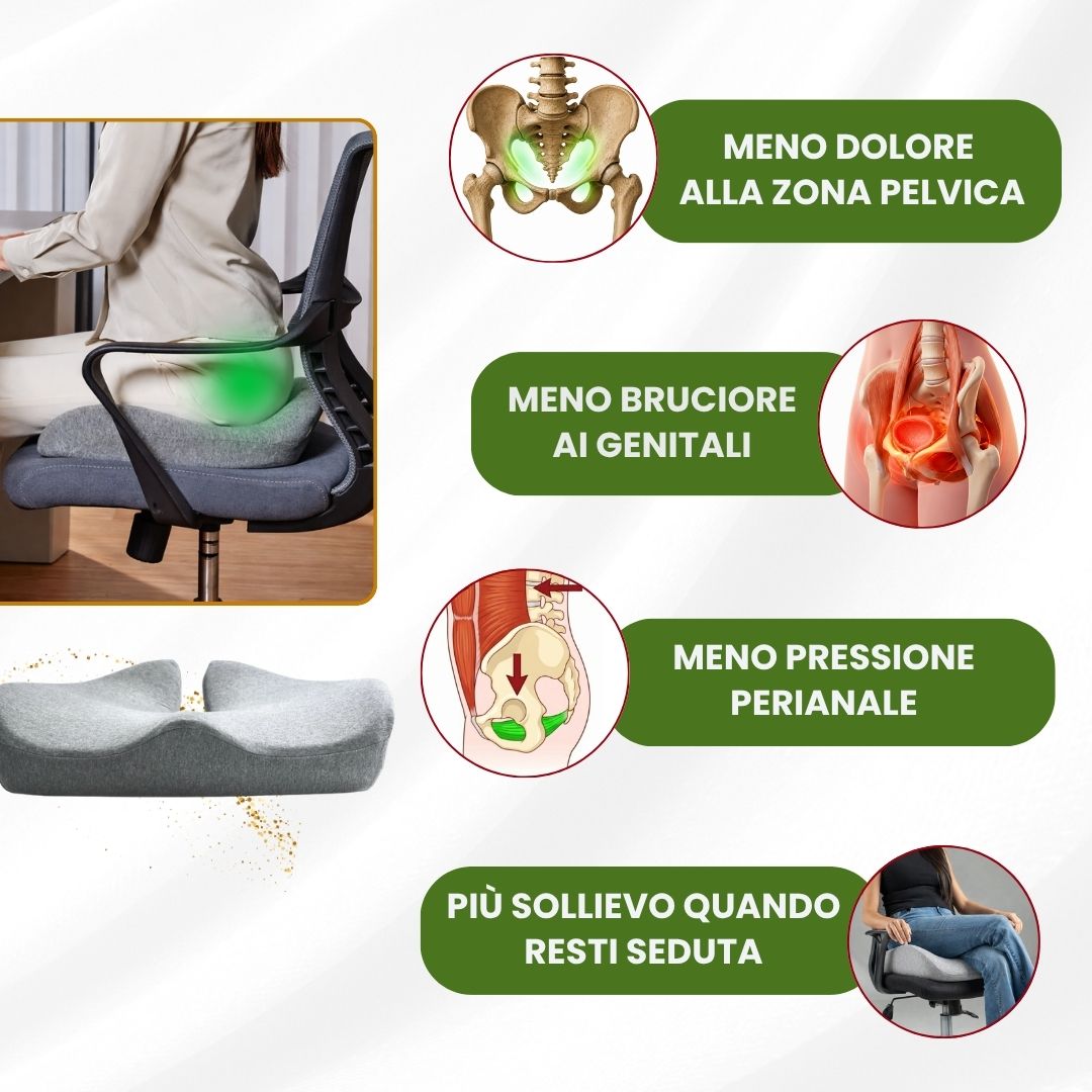 Elitary Comfort Pro
