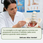 Elitary Comfort Pro